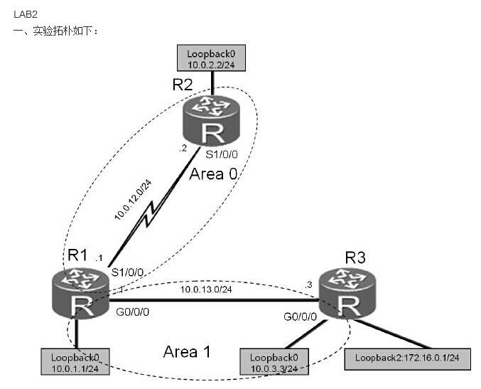 Ospf-2.jpg
